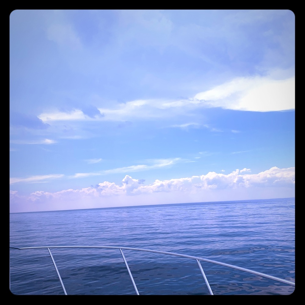 Meet your Posher, Casey